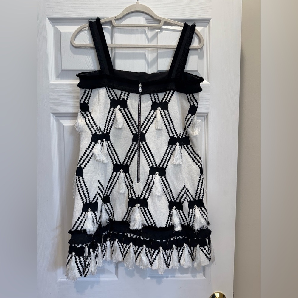ALEXIS Bijou Knit Tassel A-line Mini Dress - Picture 3 of 6